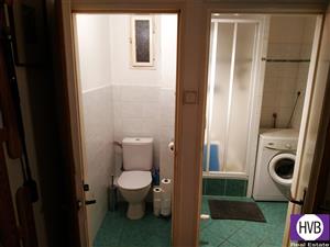 photo_7