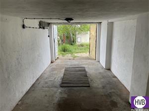 photo_5
