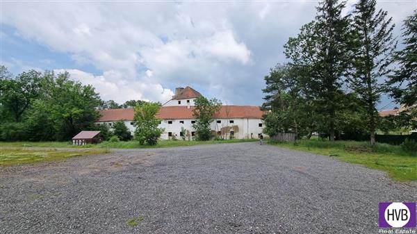 photo_5