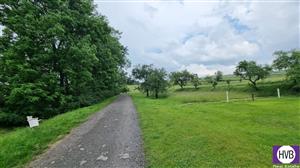 photo_15