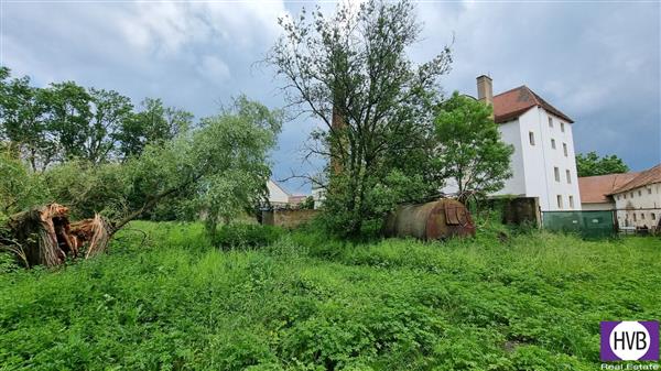 photo_17