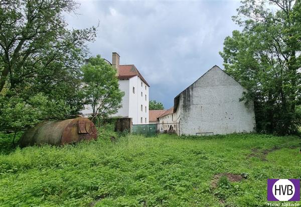 photo_18