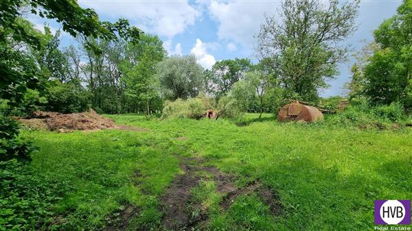 photo_19