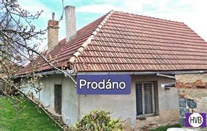 photo_1