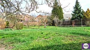 photo_6