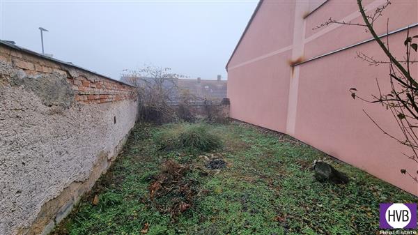 photo_19