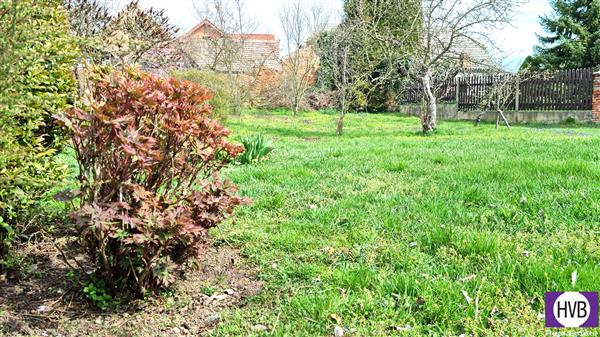 photo_25