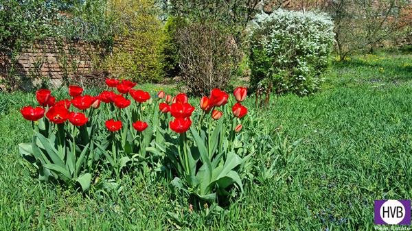 photo_29