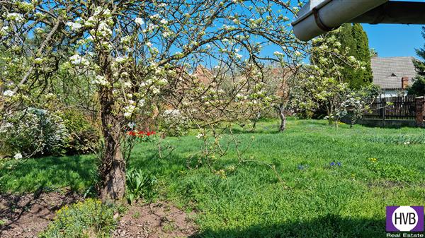 photo_30