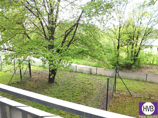 photo_3