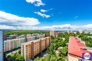 photo_4