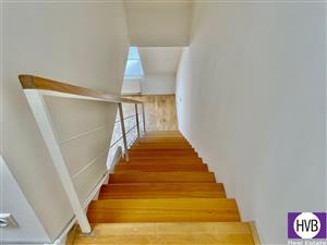 photo_7