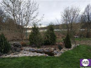 photo_5