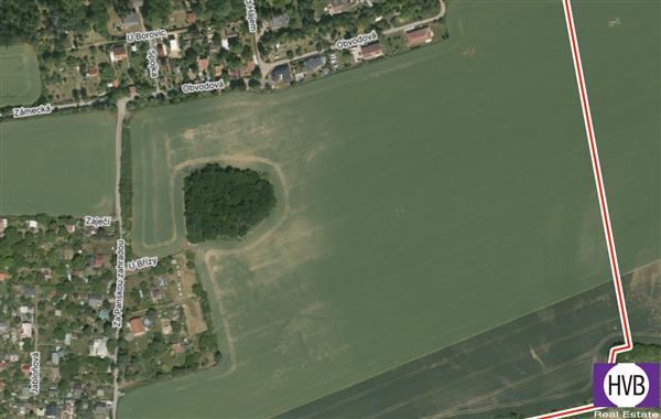 photo_1