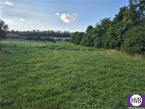 photo_1