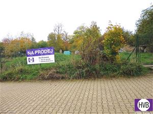 photo_3