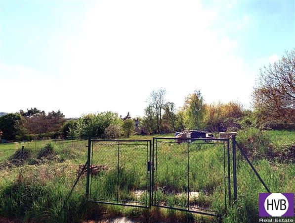 photo_4