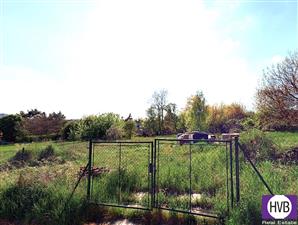 photo_4