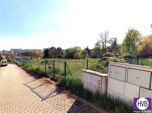 photo_5