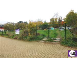 photo_1
