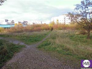 photo_5