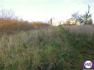 photo_6