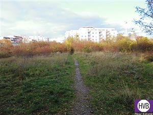 photo_2