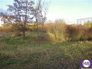 photo_4