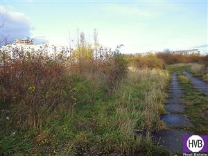 photo_7