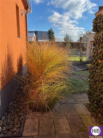 photo_16