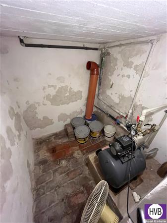photo_19