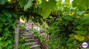 photo_12
