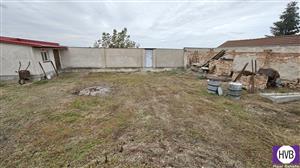 photo_5