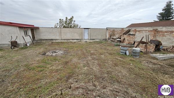 photo_5