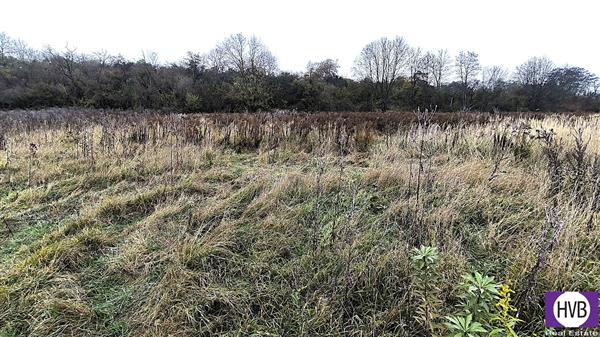 photo_14
