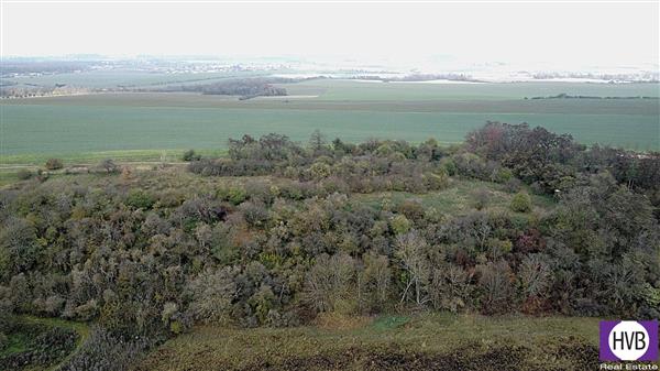 photo_17
