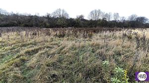 photo_14