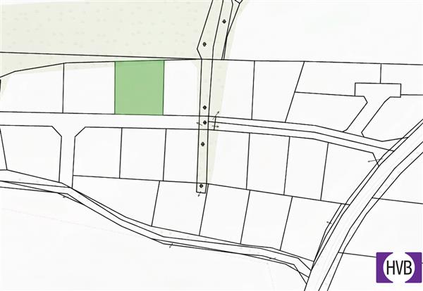 photo_1