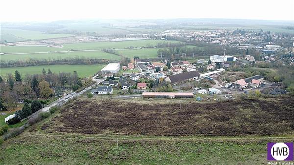 photo_11