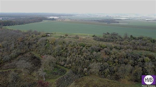 photo_17