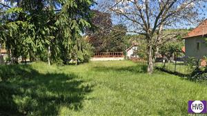 photo_10