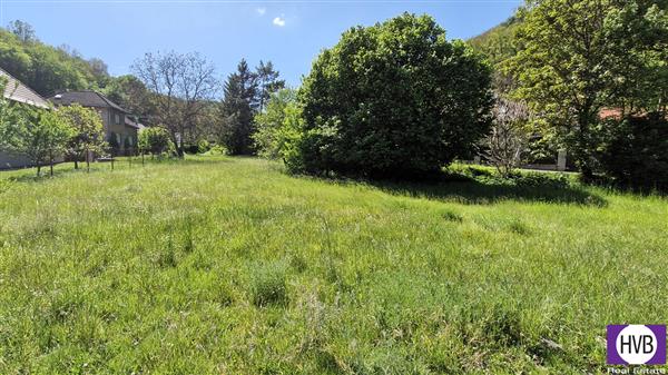 photo_2