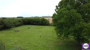 photo_5