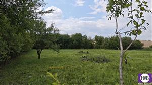photo_1