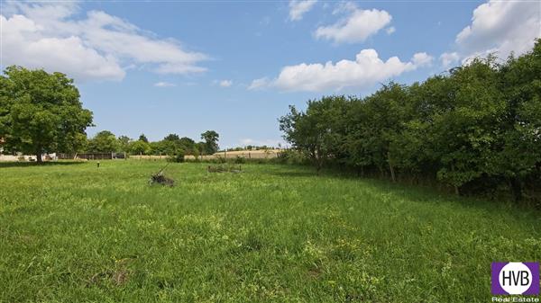 photo_4