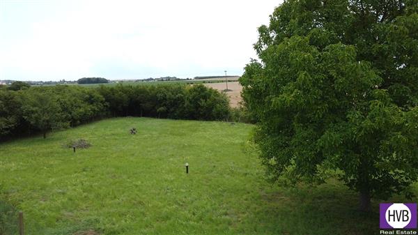 photo_5