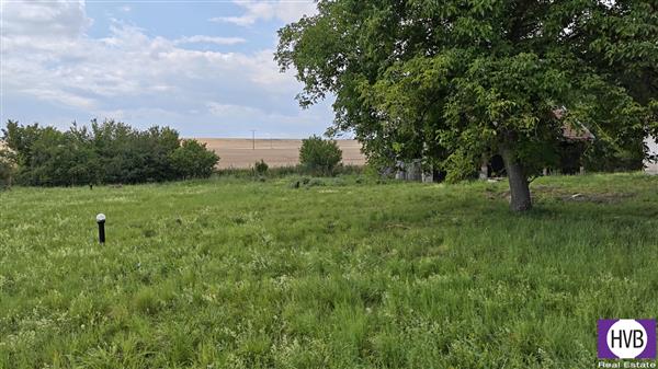 photo_6