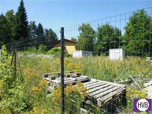photo_6