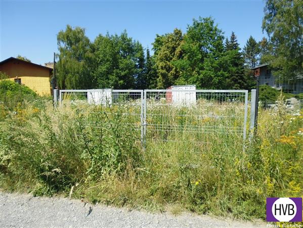 photo_5