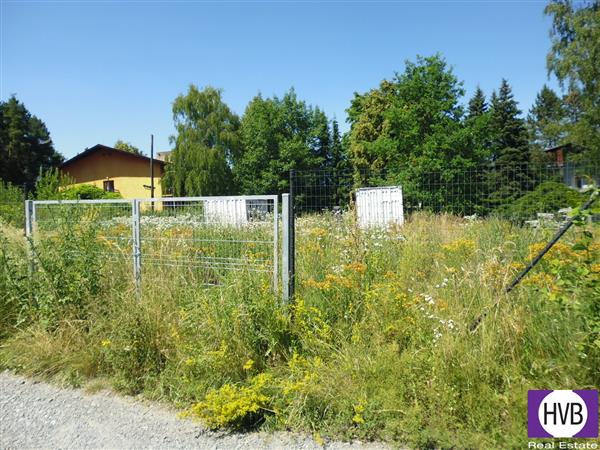photo_3